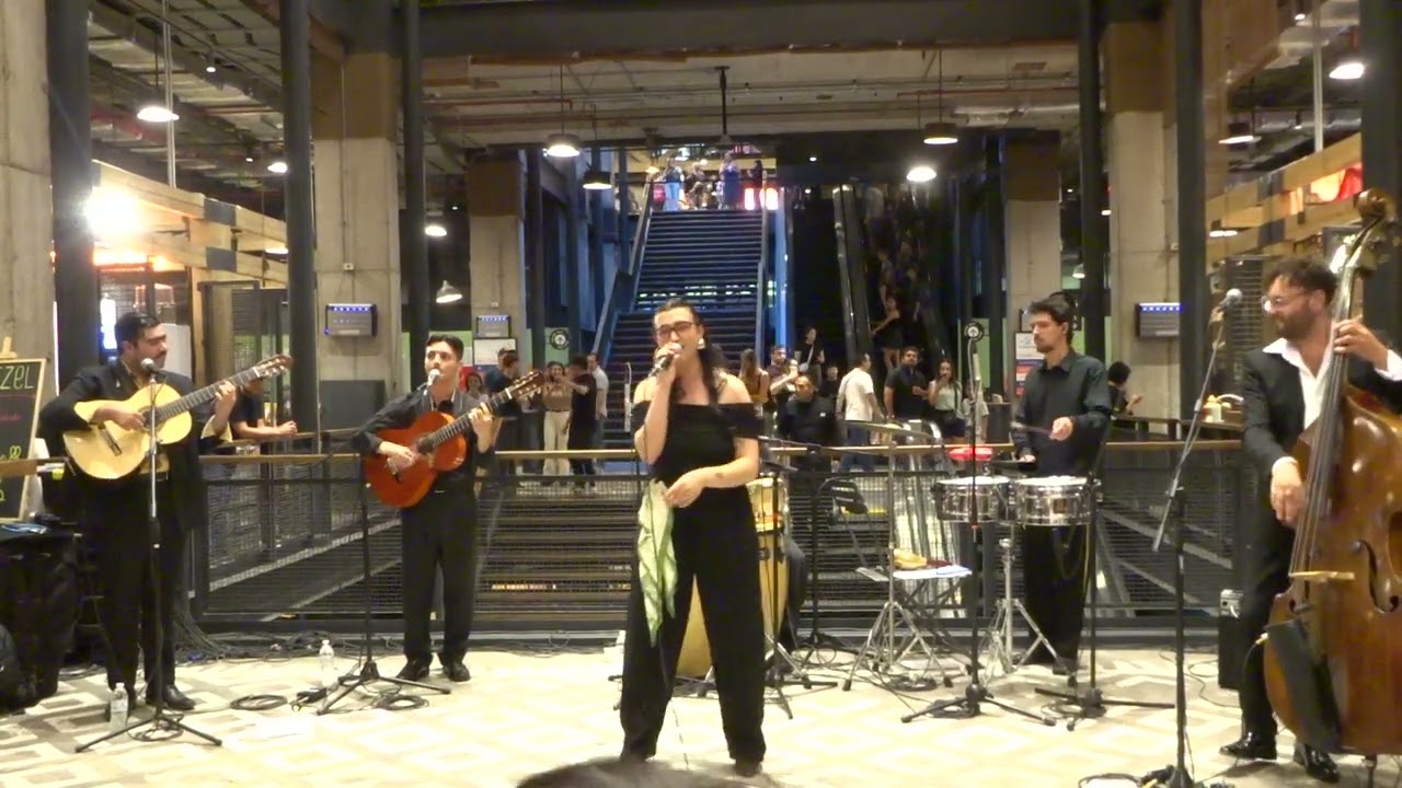 A 8/3/25 MUT, Catalina y las bordonas de oro.