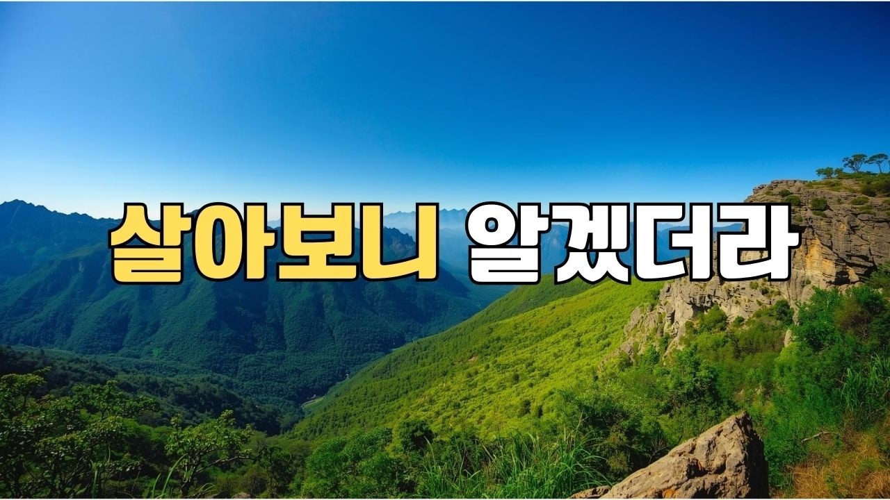 나이 들수록 알게 되는 것 7가지 | 결국 남는 건 이것이었다