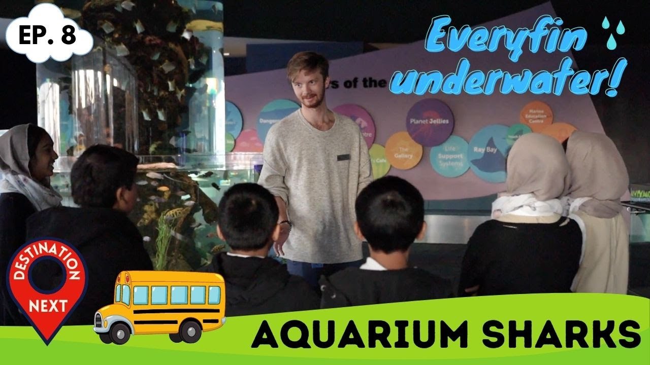 Destination Next | Episode 8 | Aquarium Sharks