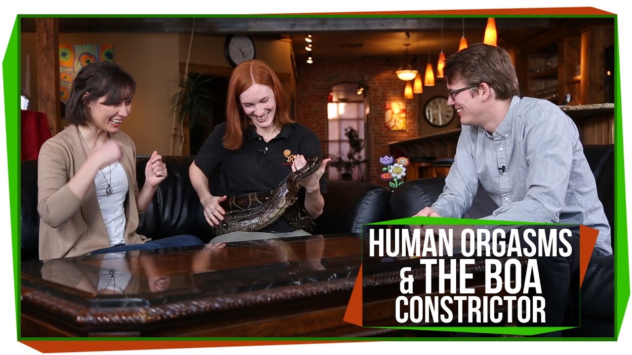 Talk Show: Human Orgasms & Daisy, the Boa Constrictor