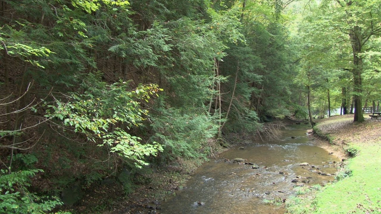 Stream Restoration Project Planned for Kanawha State Forest