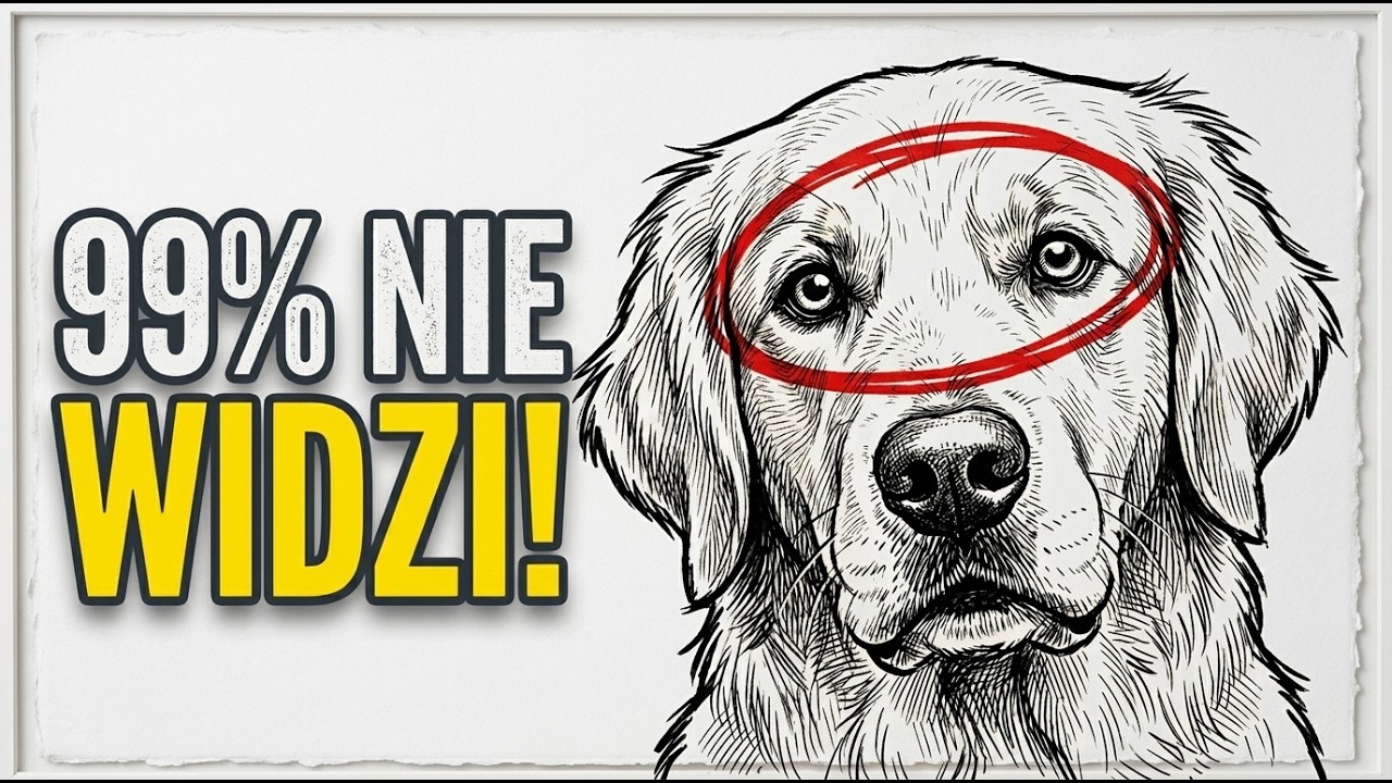 Jeśli Twój Pies To Robi, Jest NAPRAWDĘ Szczęśliwy (99% Właścicieli Tego Nie Widzi)