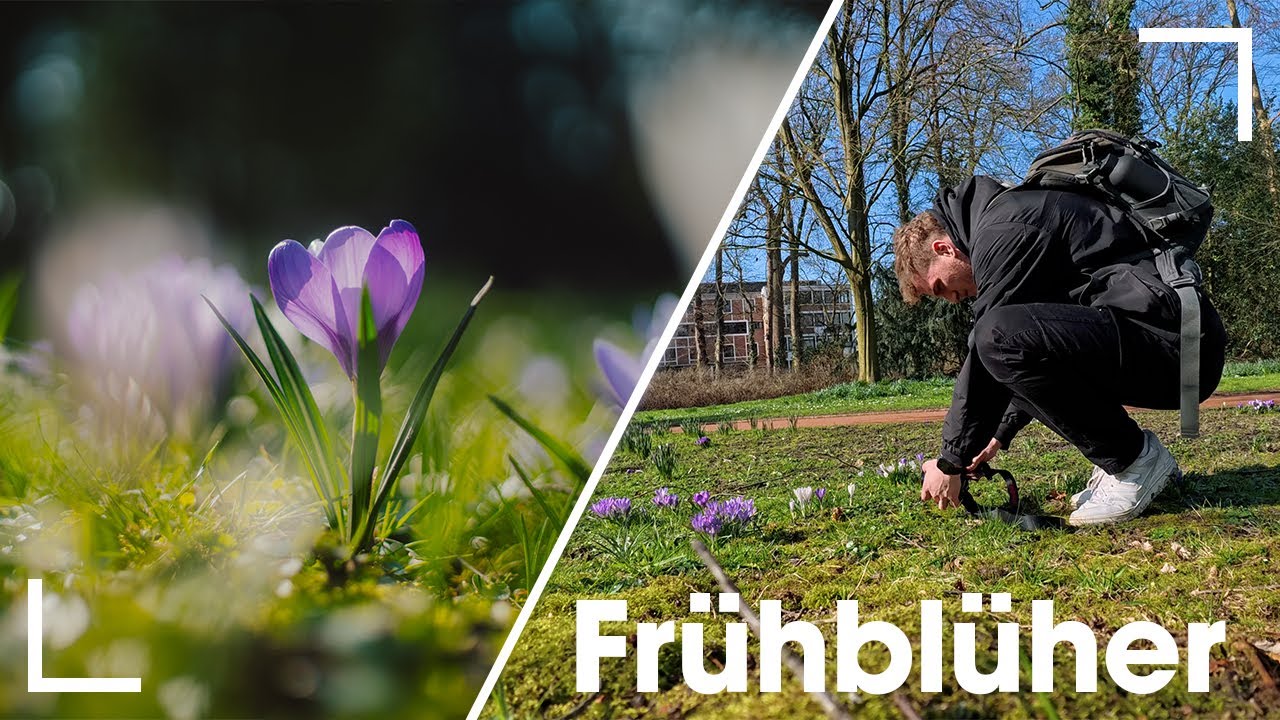 Auf der Jagd nach Frühblühern I Fotowanderung #2