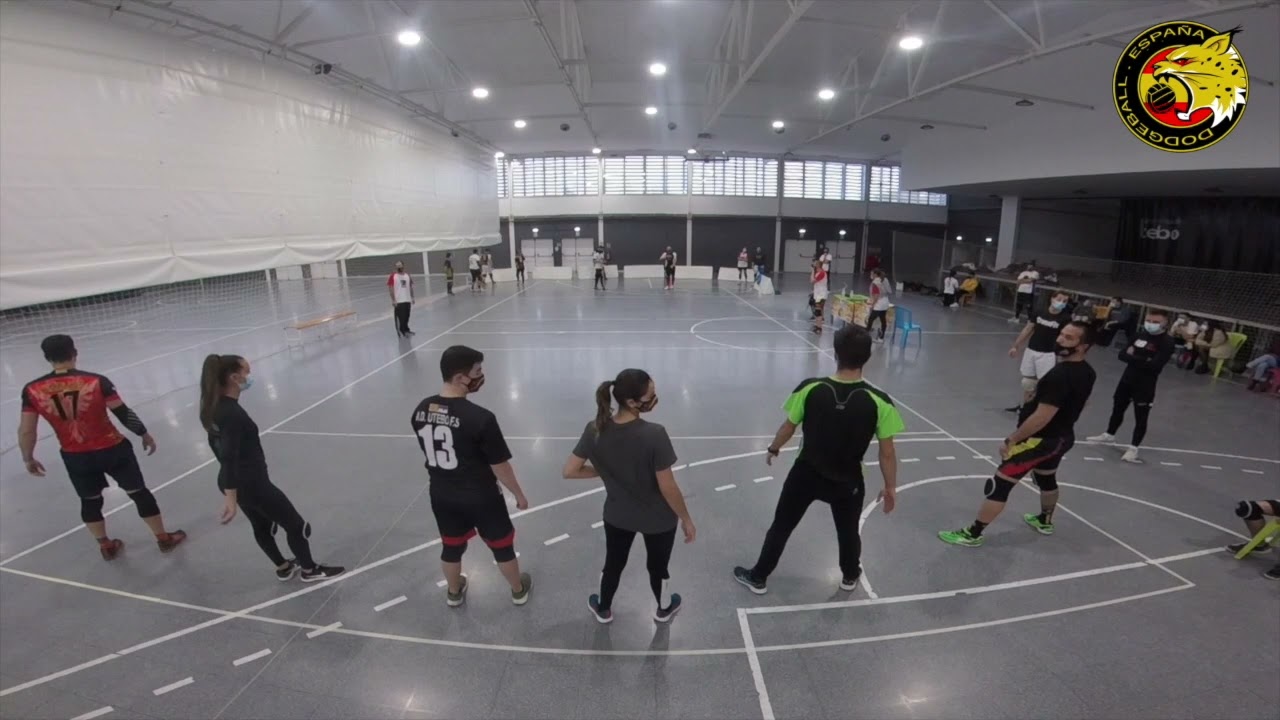 ESCARABAJOS PELOTEROS vs LOBOS MILENARIOS (II LIGA DE DODGEBALL DE ESPAÑA - 1ª JORNADA)