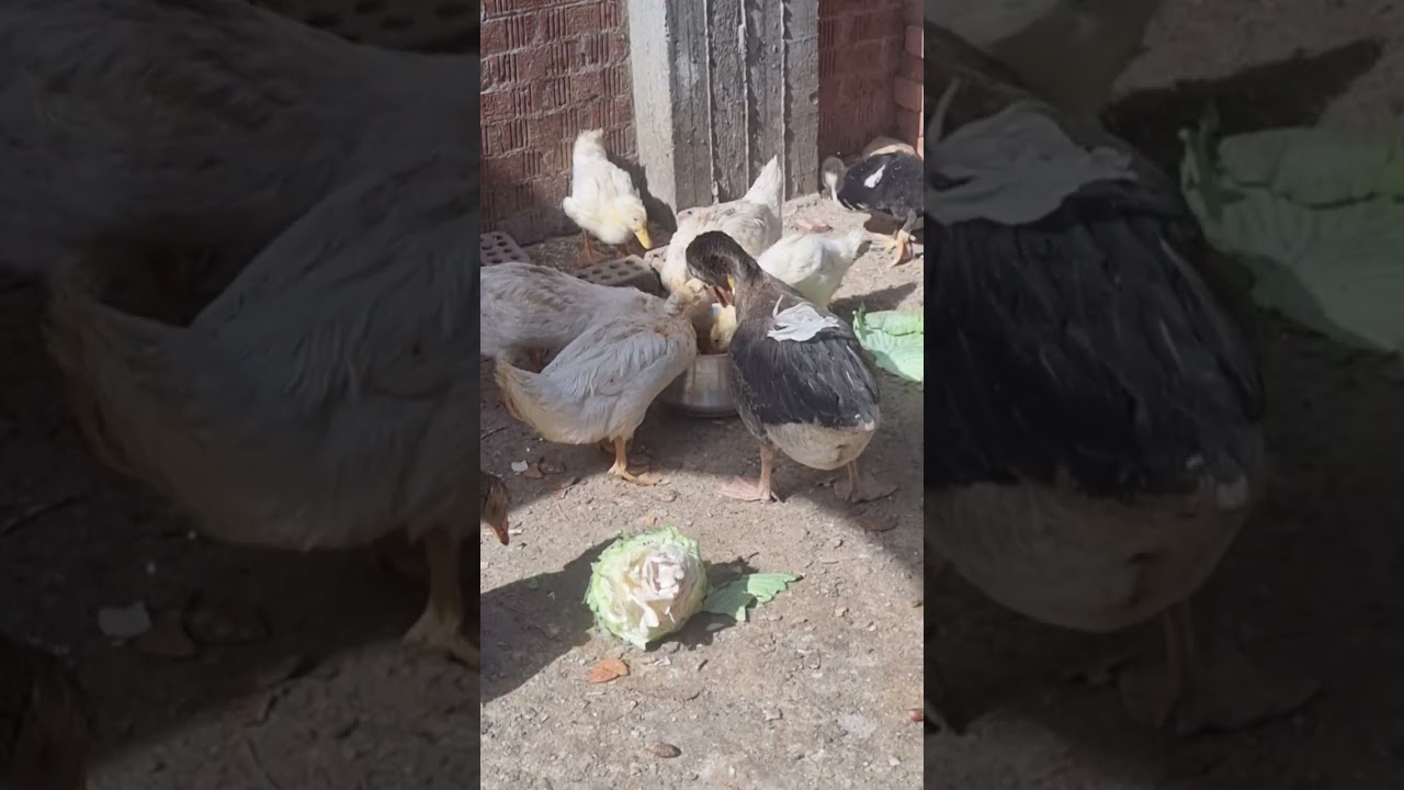 ٨ فبراير ٢٠٢٦