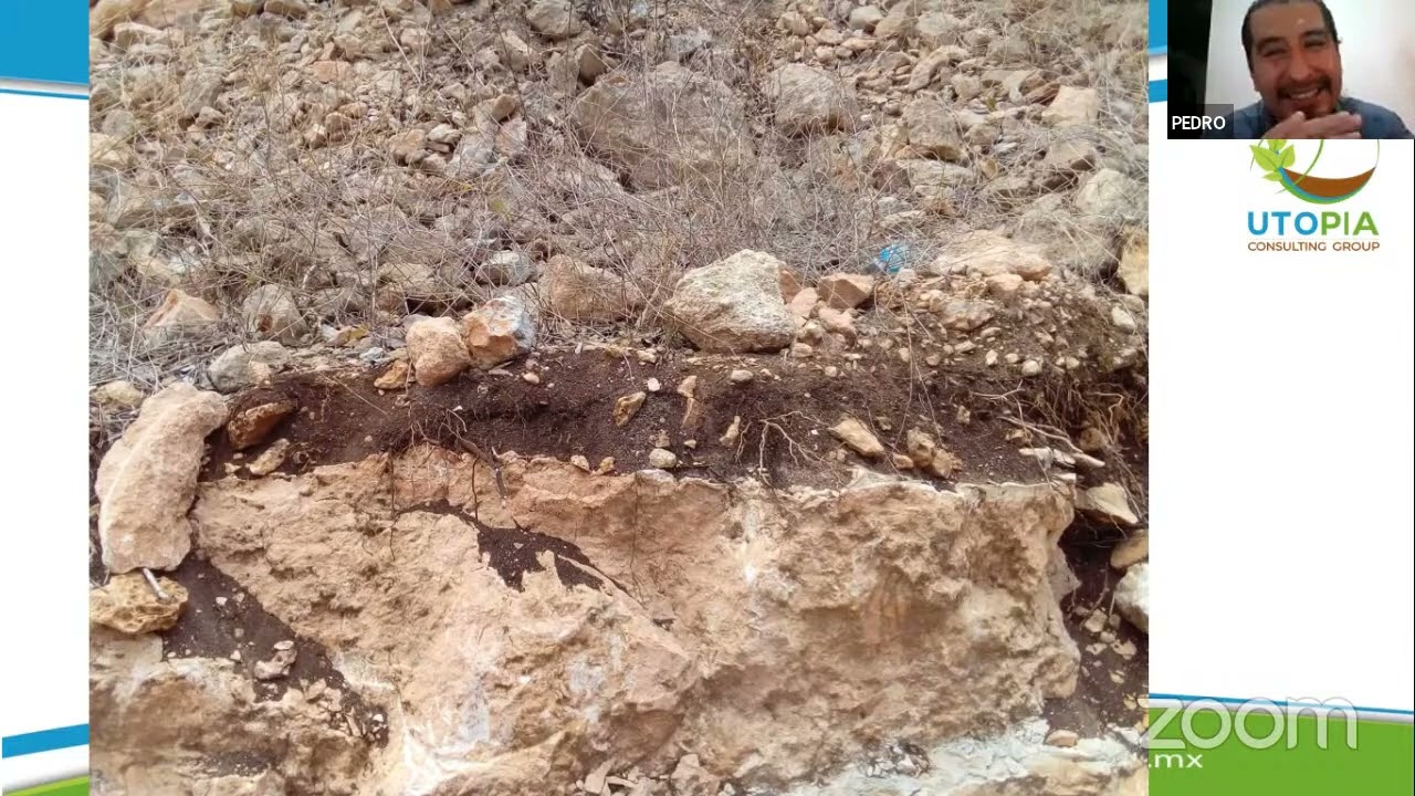 Agricultura orgánica de última generación