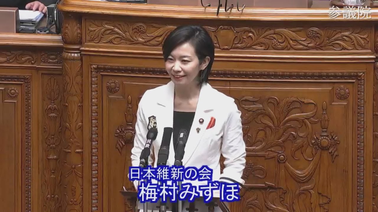 2025.04.16　本会議・質疑　梅村みずほ