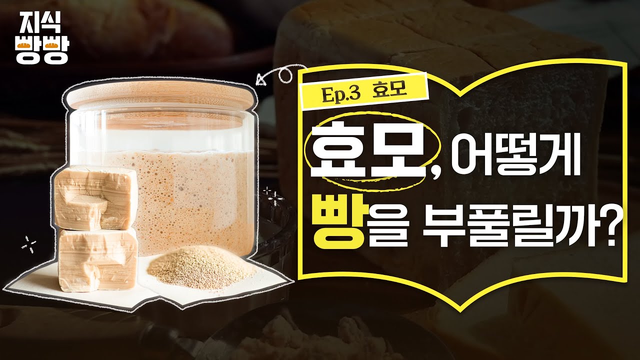 SPC 지식빵빵 | 효모,이스트,베이킹파우더 다 같은 말 아니야?!🧐