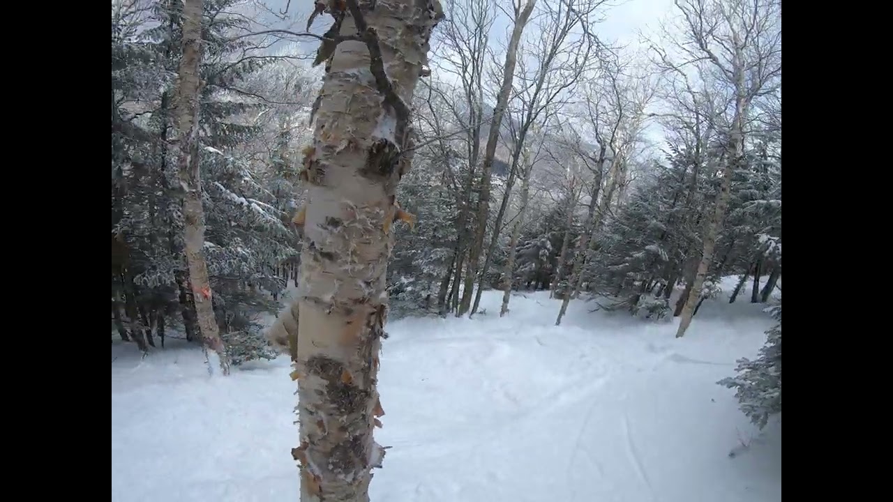 Taking a Run - Staircase Glade - Jay Peak (2022)