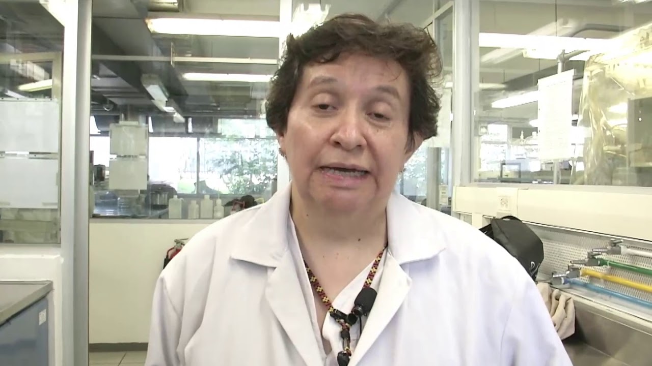 Desarrollan software que identifica huevos de helmintos - Gaceta UNAM