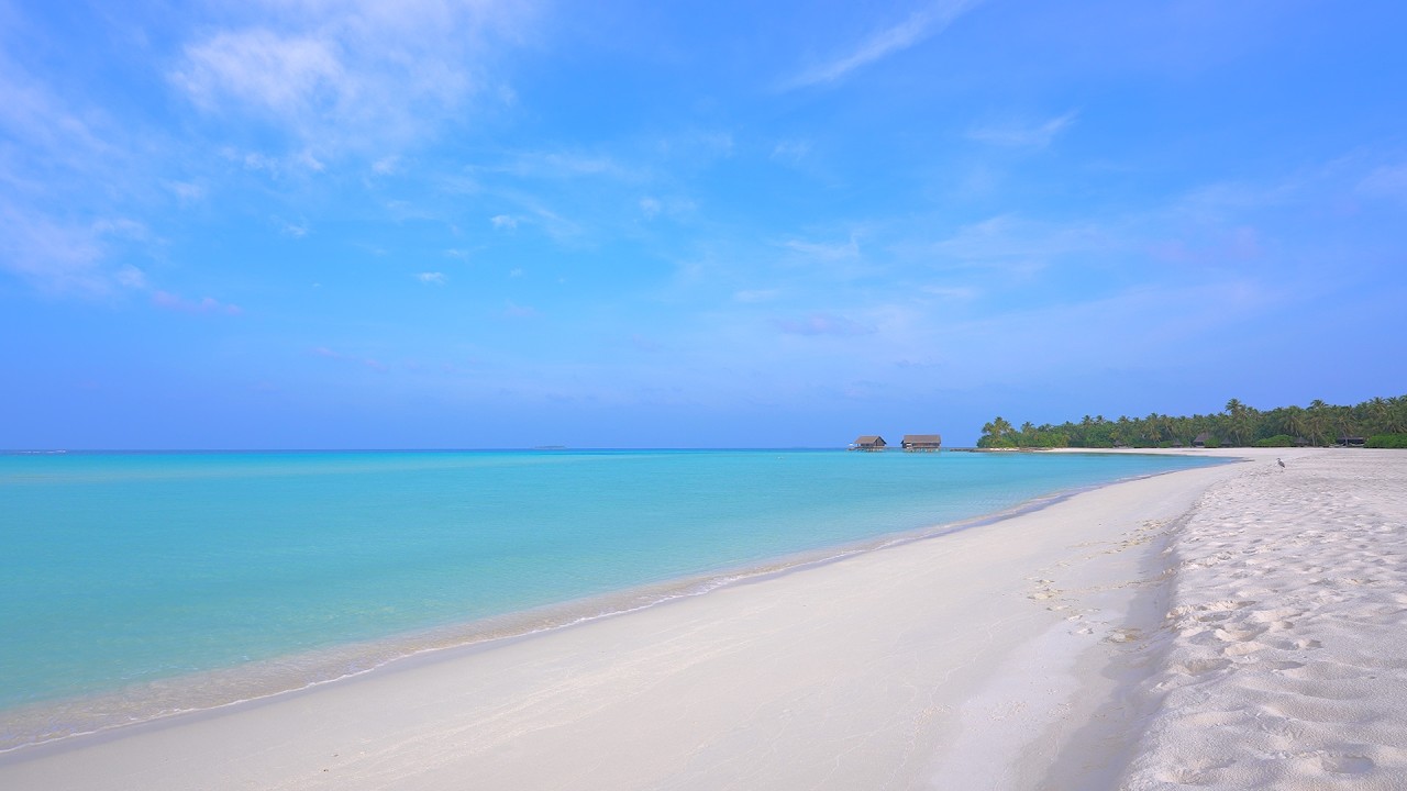 Paradise Found: Ocean and Wild Beach! Maldives 4K ULTRA HD