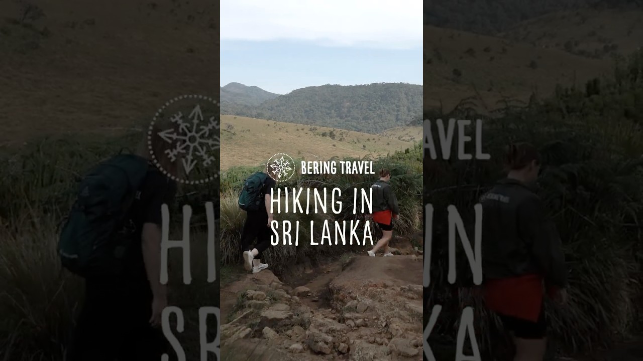 Hiking in Sri Lanka &ndash; jungles, tea hills & waterfalls 🌴🥾