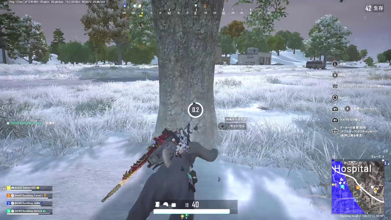 [PS5]のんびりやってくPUBG～(BackDrop_Farae11)