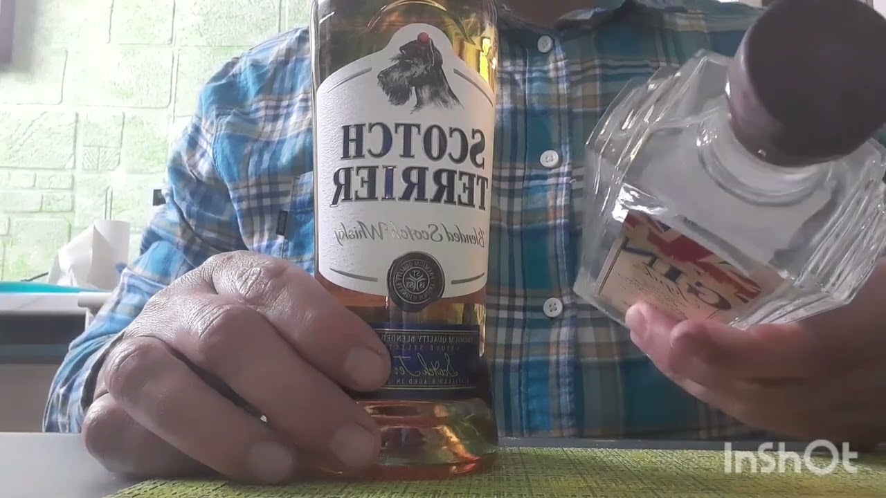 Виски SCOTCH TERRIER и Джин Юпитер дегустация.