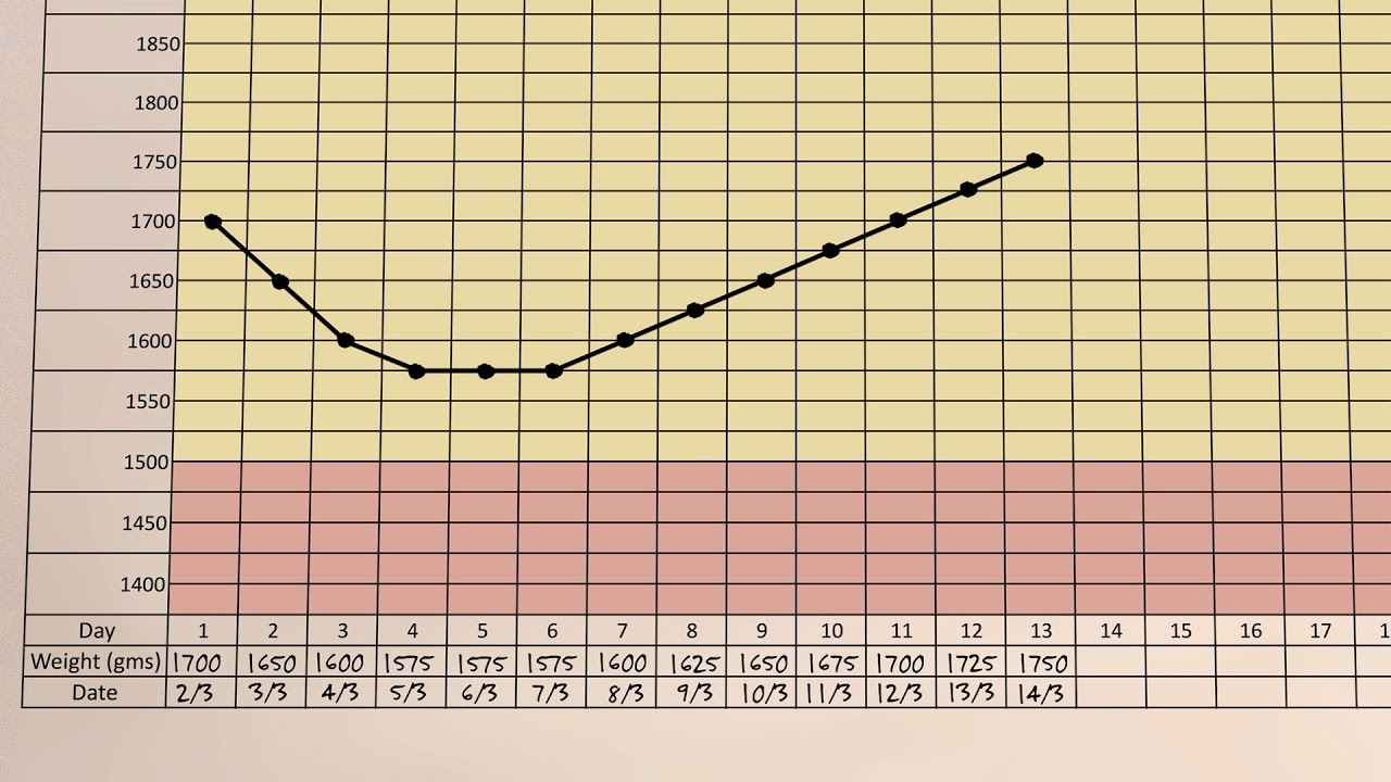 A Small Baby's Growth Chart - Small Baby Series