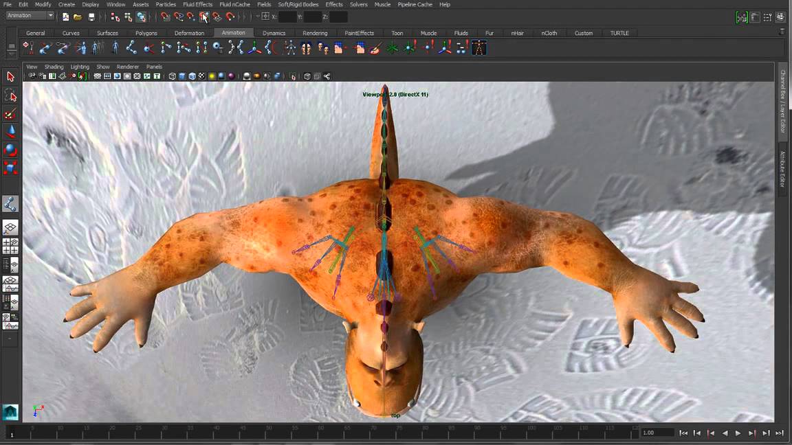 Maya 2014 3D Animation - Joint centering and symmetry