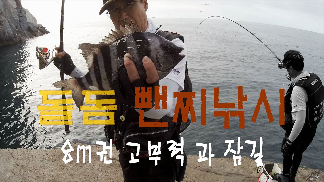돌돔 뺀찌 찌낚시 /갈도의 손맛