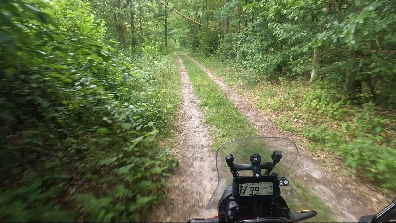 Honda CRF 300 Rally | Forest ride |  POV RAW 4k60