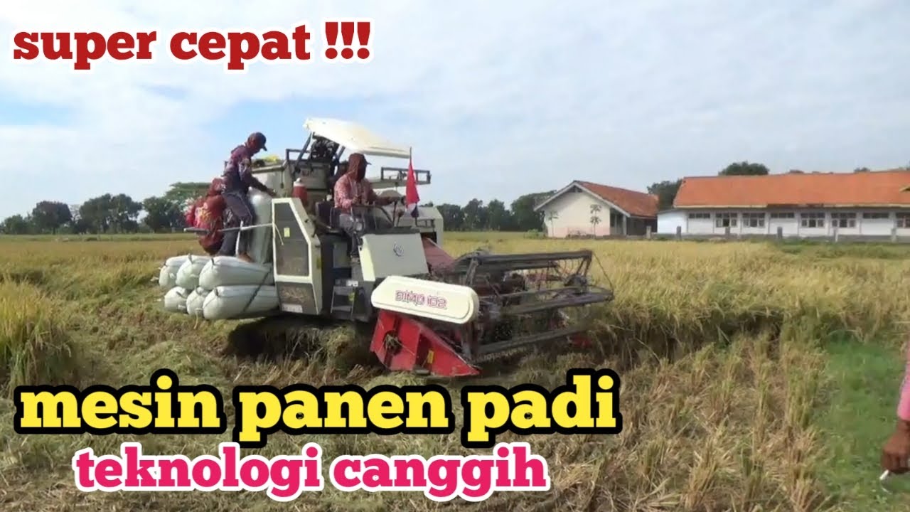 Super cepat !! Mesin panen padi teknologi canggih (Combine Harvester)