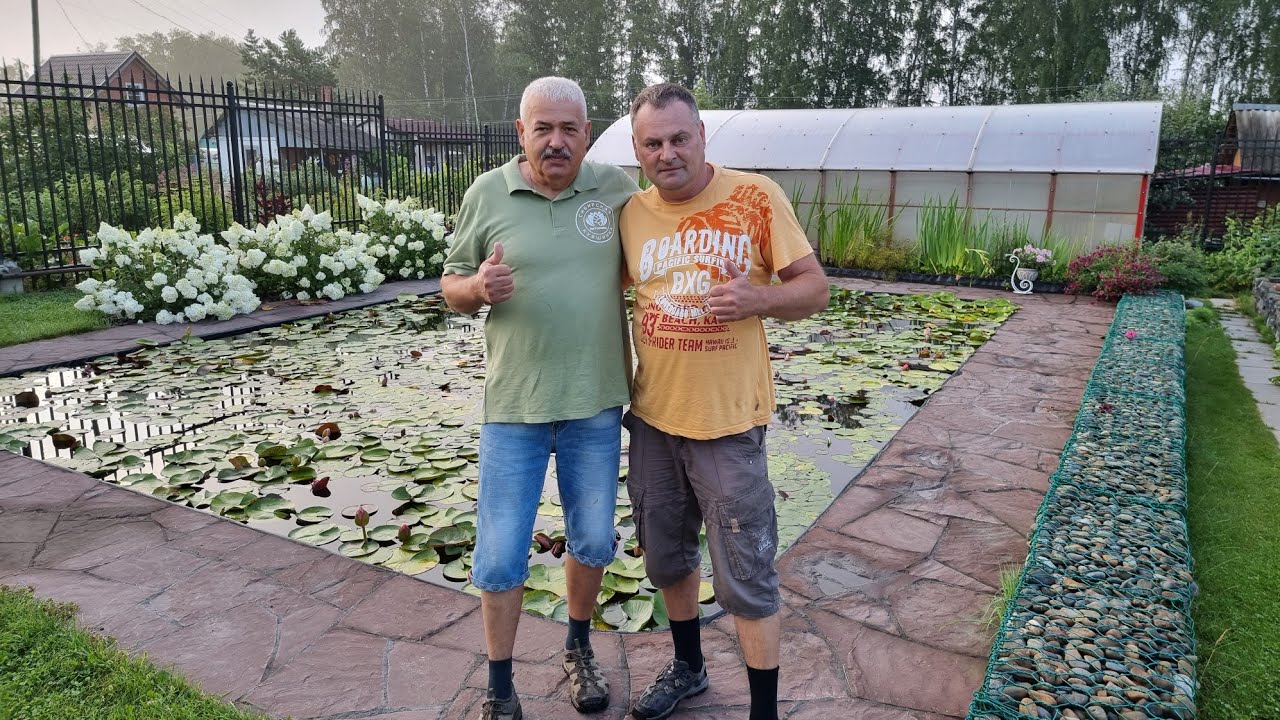 В гостях у Андрея Минченкова в питомнике Сибирская Кувшинка @sibkuvshinka #нимфеи #кувшинки