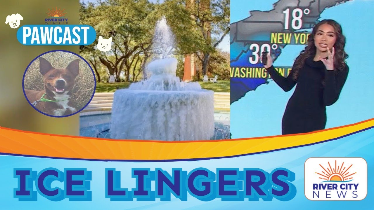 PAWCAST: Ice Lingers as Central Texas Warms After Extreme Cold