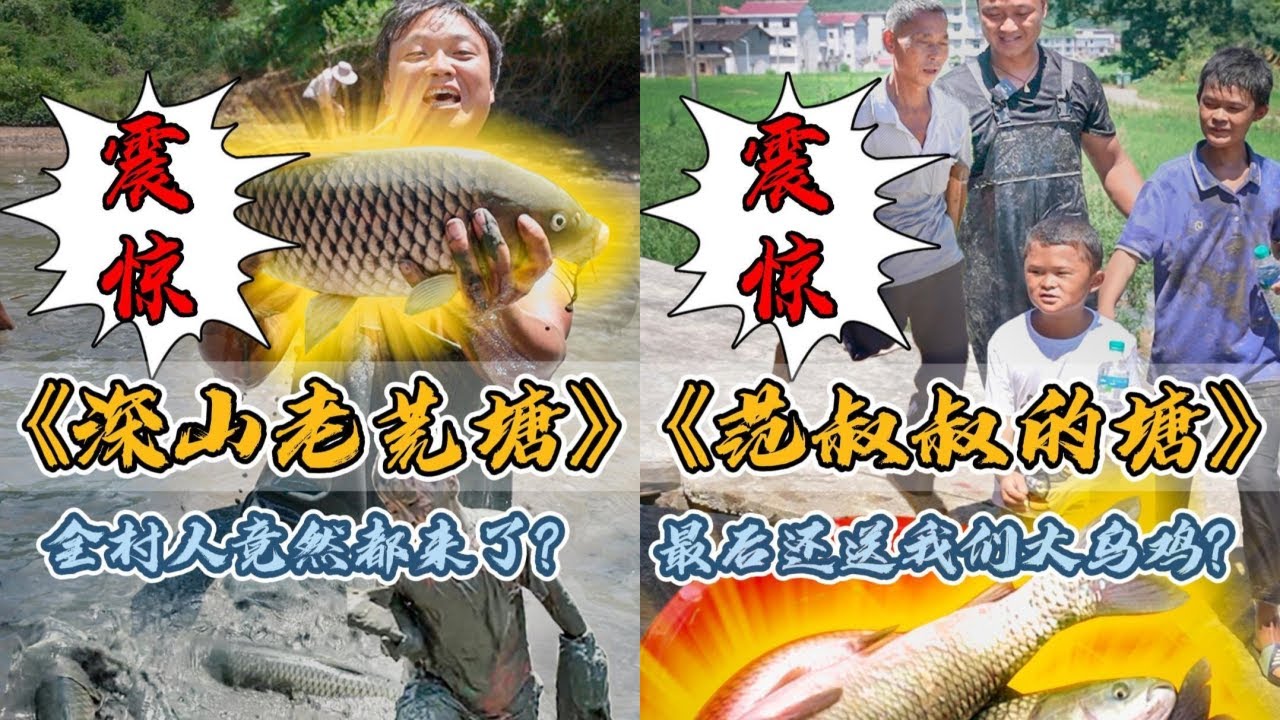 花3500元包下一个深山老鱼塘，全村人都来看大鱼了｜盘下范叔家几年没干的老鱼塘，没想到最后塘主还送了大乌鸡