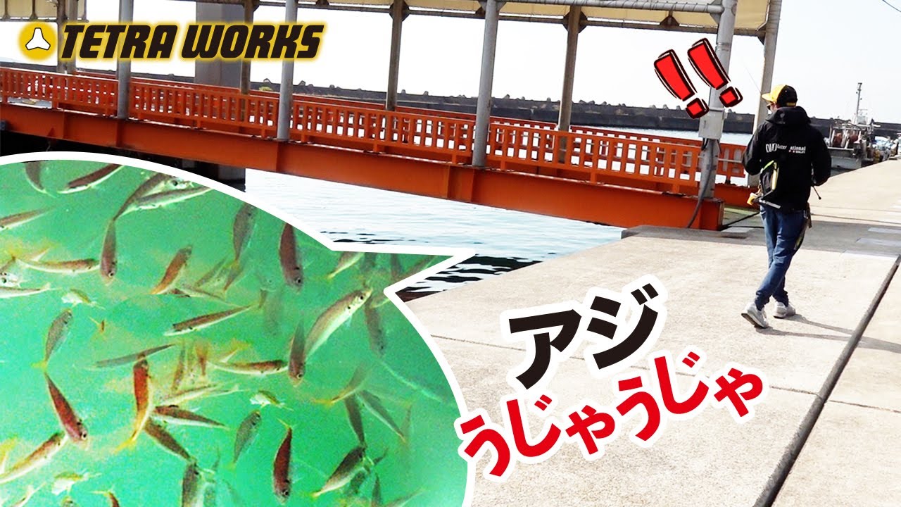 【デイアジング】”見えアジ“攻略！〜これで釣果UP編〜
