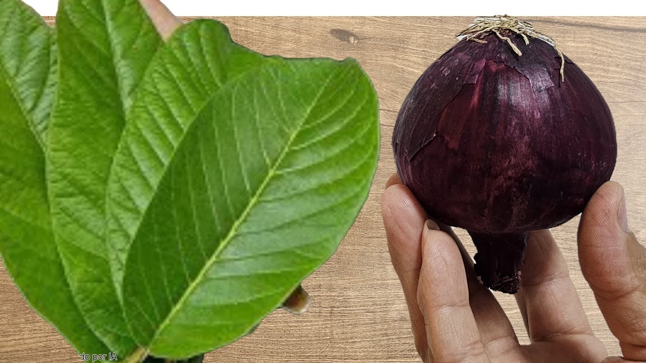 📢É Só Bater CEBOLA ROXA e FOLHA DE GOIABA e Não Precisa Mais Gastar No Salão de Beleza