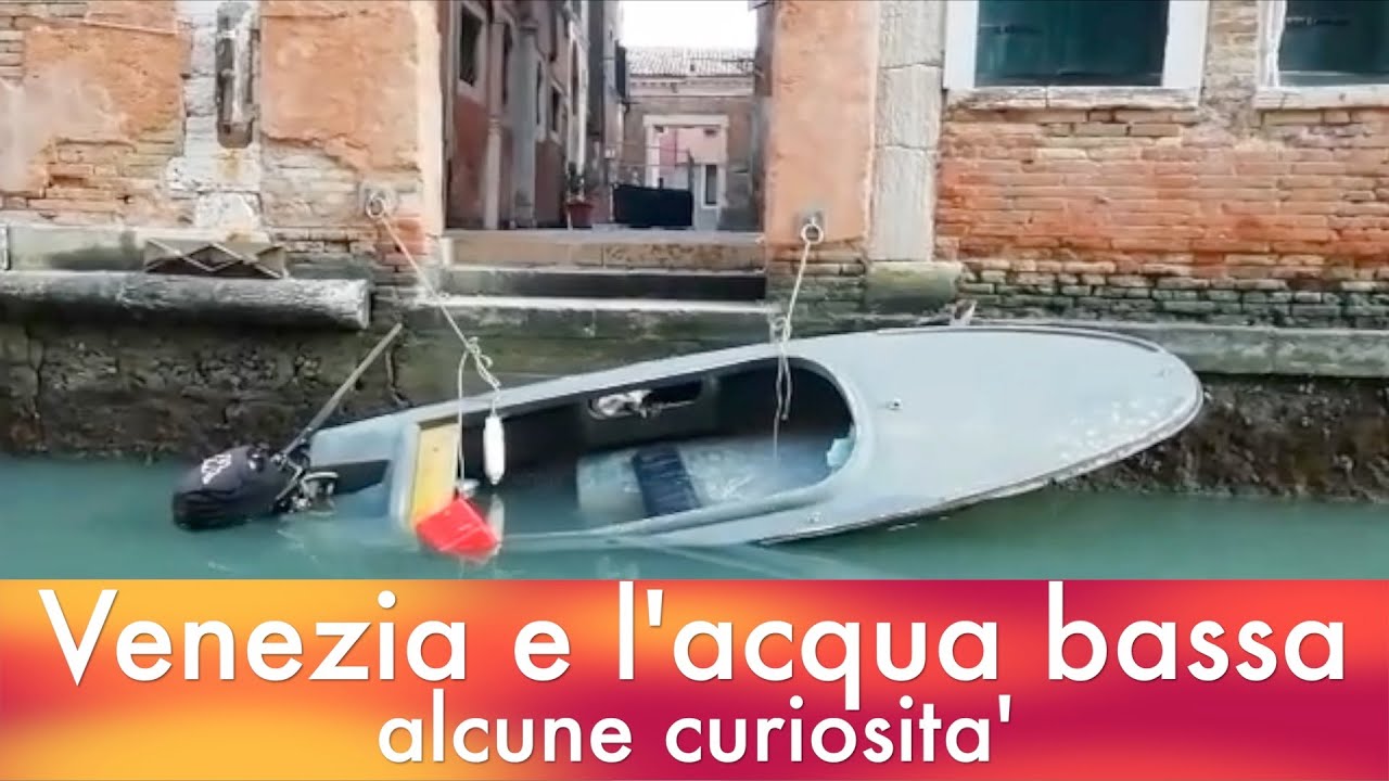 Venezia e l'acqua bassa, alcune curiosità' #venezia #acquabassa #curiosità