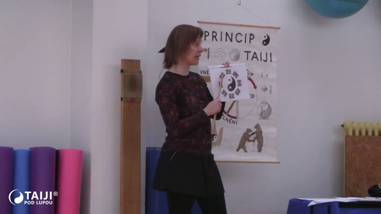 Princip tai chi