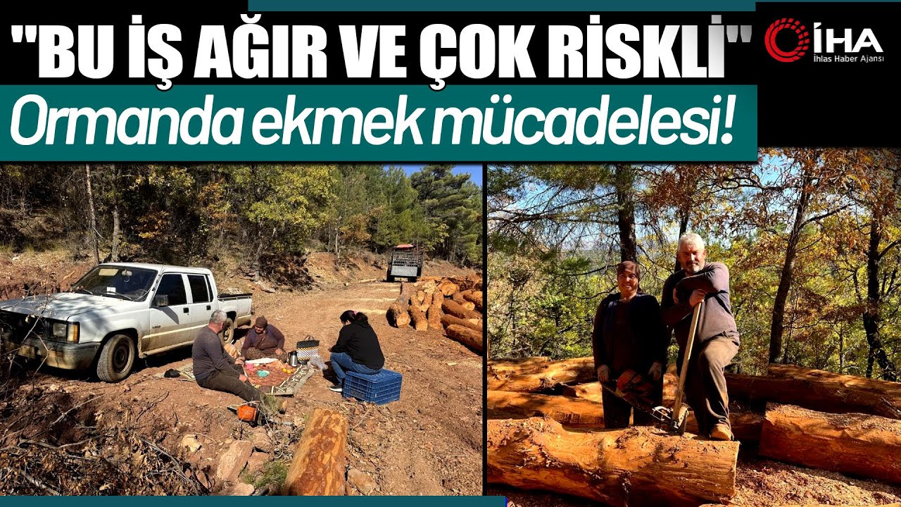 Karı-Koca 35 Yıldır Ormanlarda Damgalanan Ağa&ccedil;ları Kesiyorlar