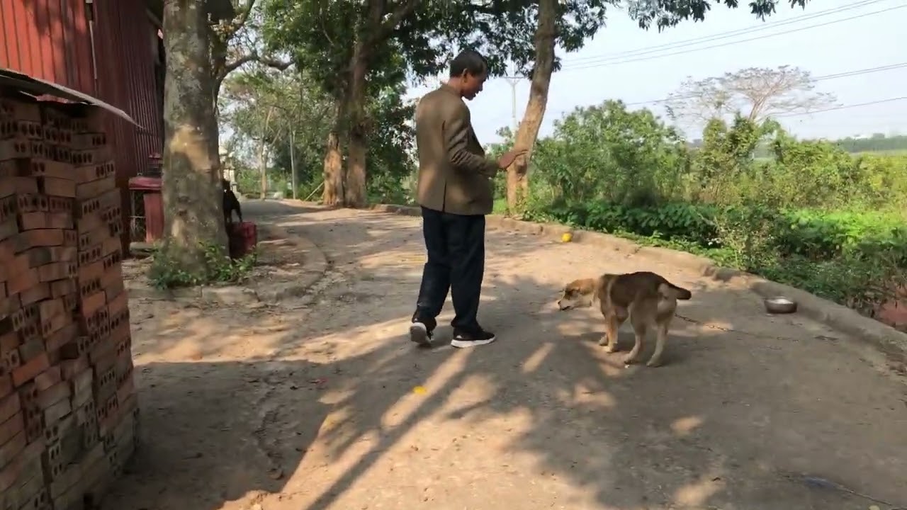 Chùa Đa Chất