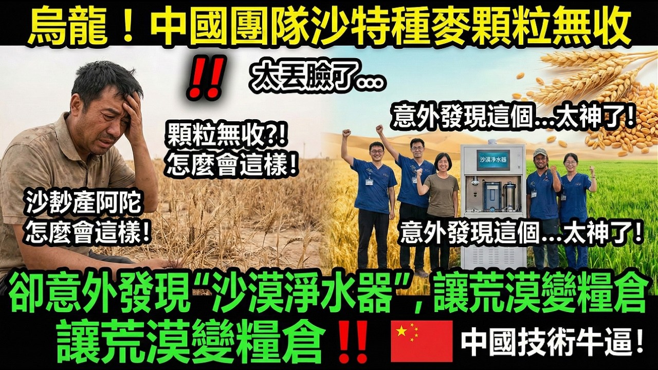 烏龍！中國團隊沙特種麥顆粒無收，卻意外發現“沙漠淨水器”，讓荒漠變糧倉