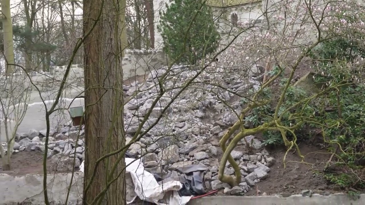 Steeds minder steigers in de Efteling!Efteling #82