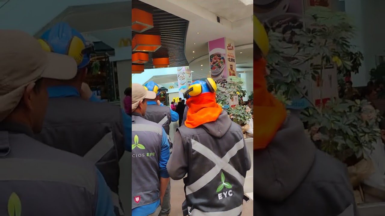 Qué centro comercial tan espectacular de Viña del Mar 🤩🏄 