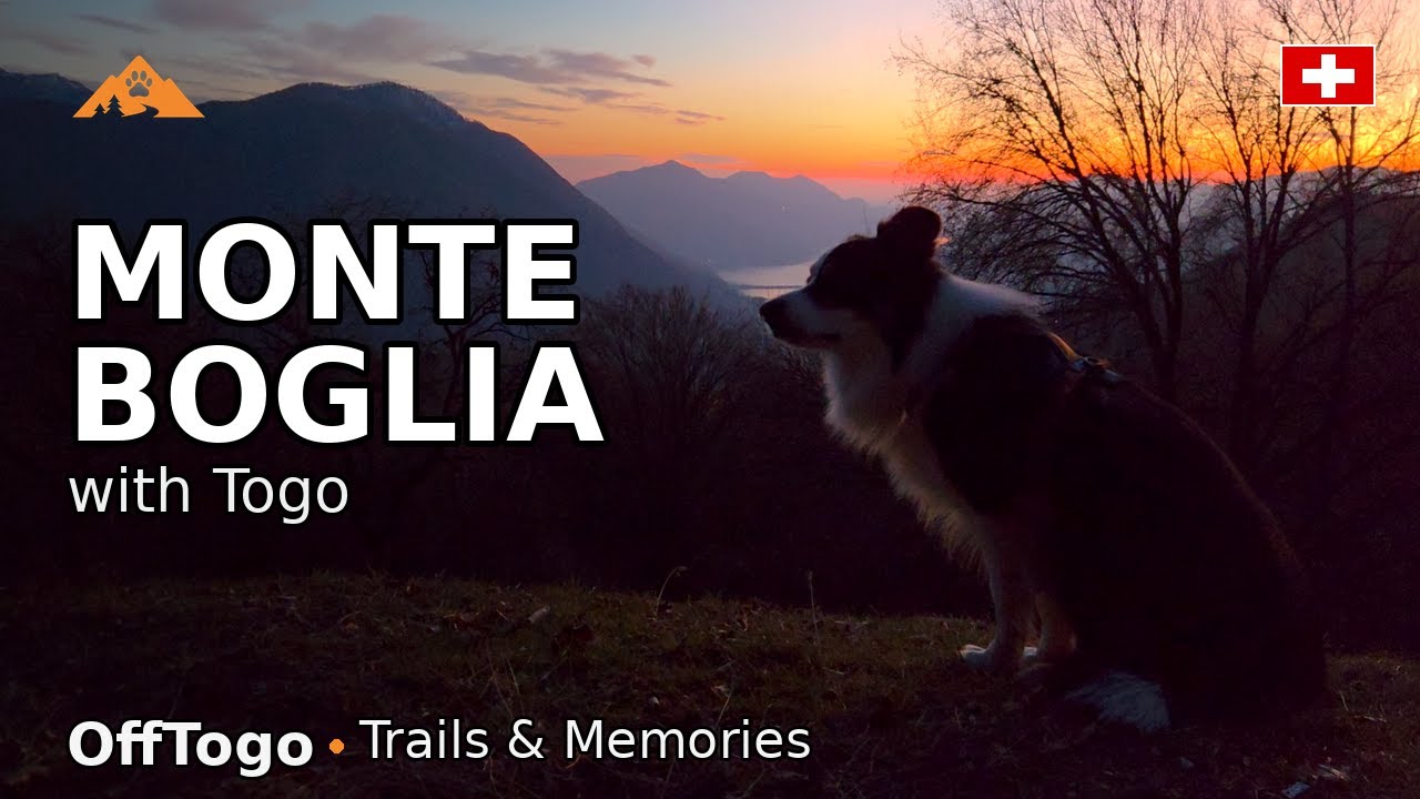 Monte Boglia at Sunset with Togo 🌅🐾 | Lake Lugano