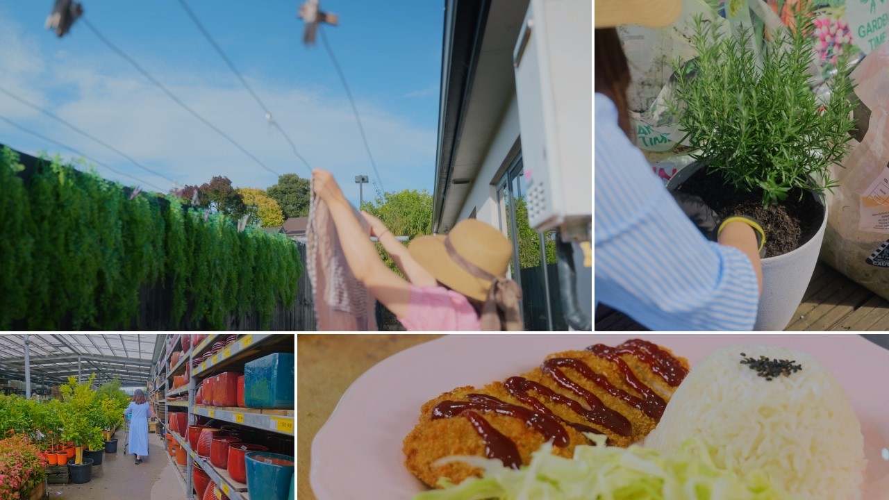New Zealand Daily vlog: From Morning Mist to Evening Tea