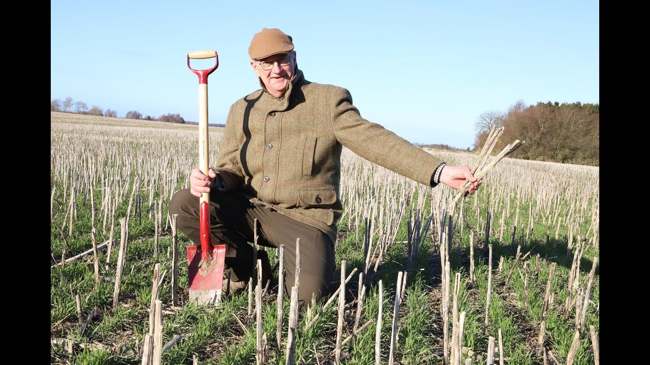 Søren Ilsøe fortæller om Conservation Agriculture