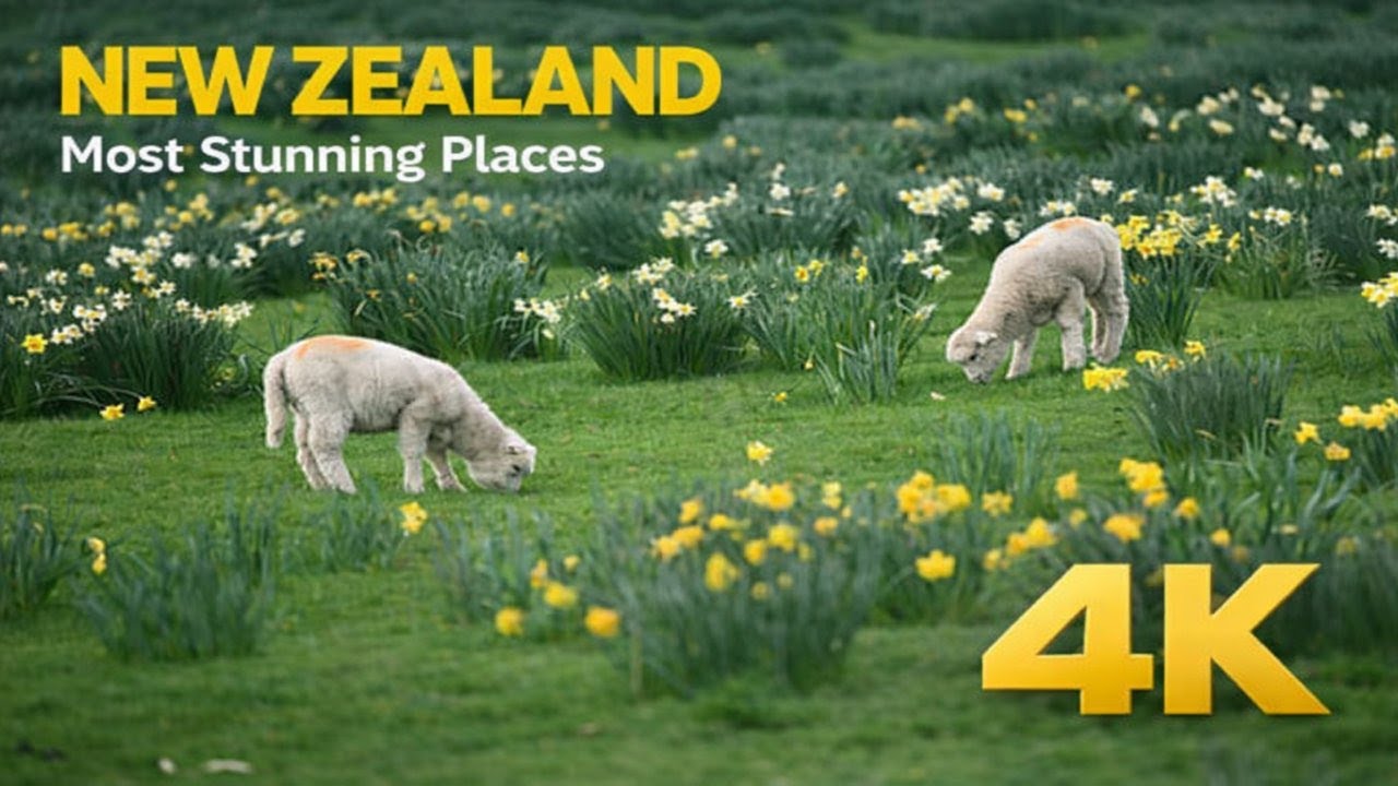 New Zealand’s Most Stunning & Famous Places 🇳🇿 | Breathtaking Nature in 4K