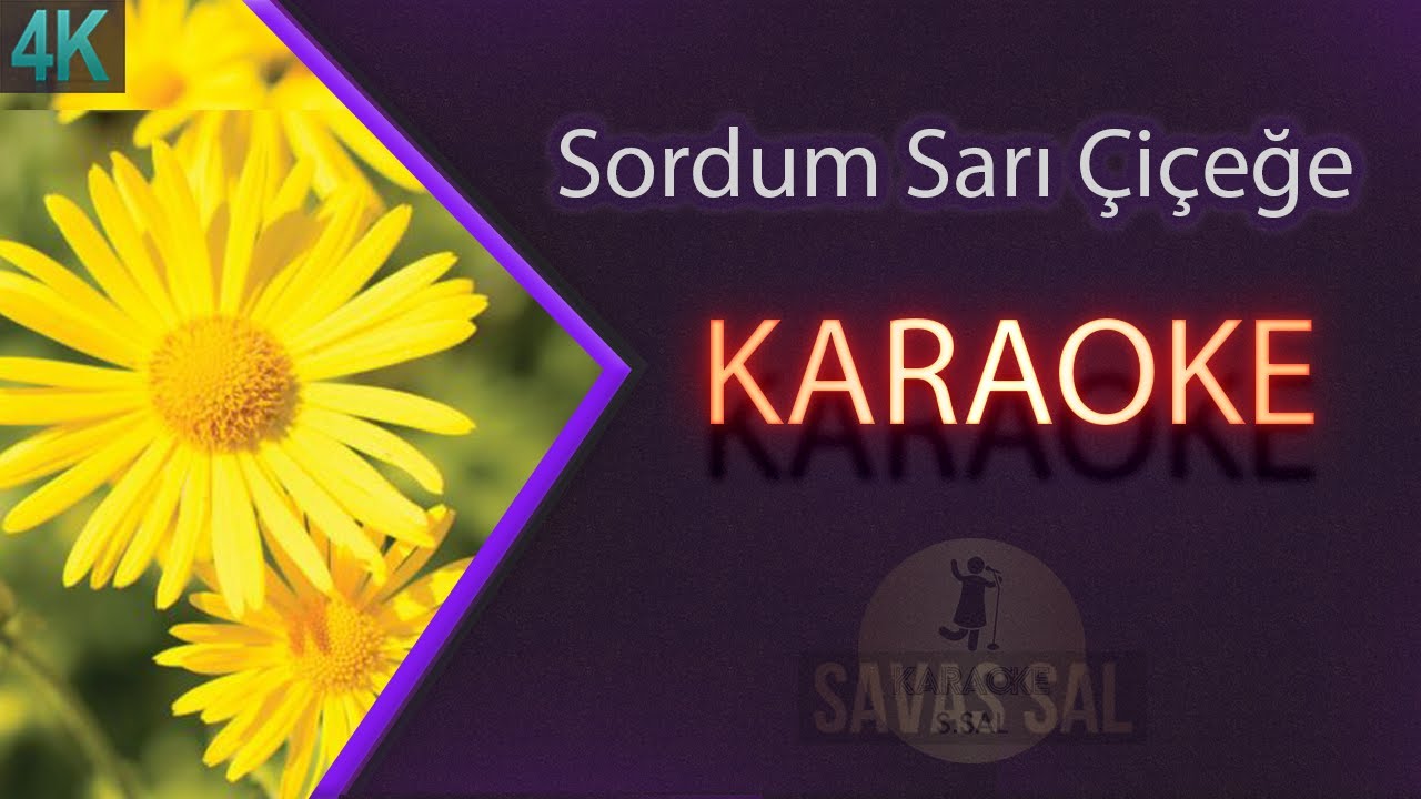 Sordum Sarı &Ccedil;i&ccedil;eğe (КАРАОКЕ)