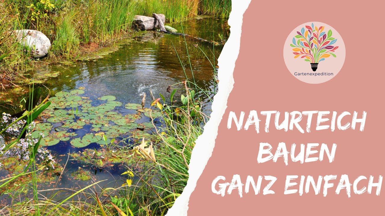 Naturteich mit Bachlauf bauen: 12 m², Zonen & Pflanzen - Gartenexpedition #naturgarten #teichbau