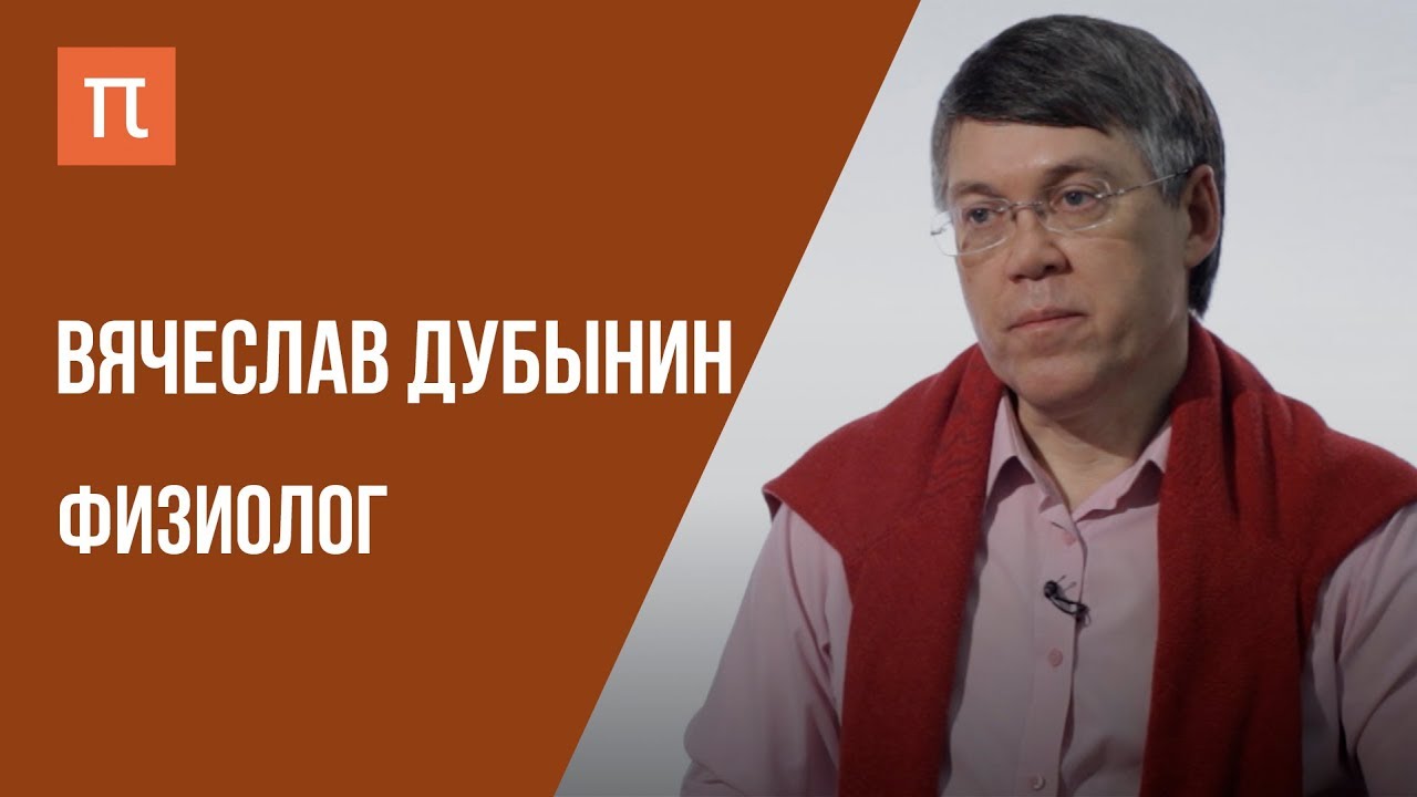 Что я знаю &mdash; химия мозга // Физиолог Вячеслав Дубынин на ПостНауке