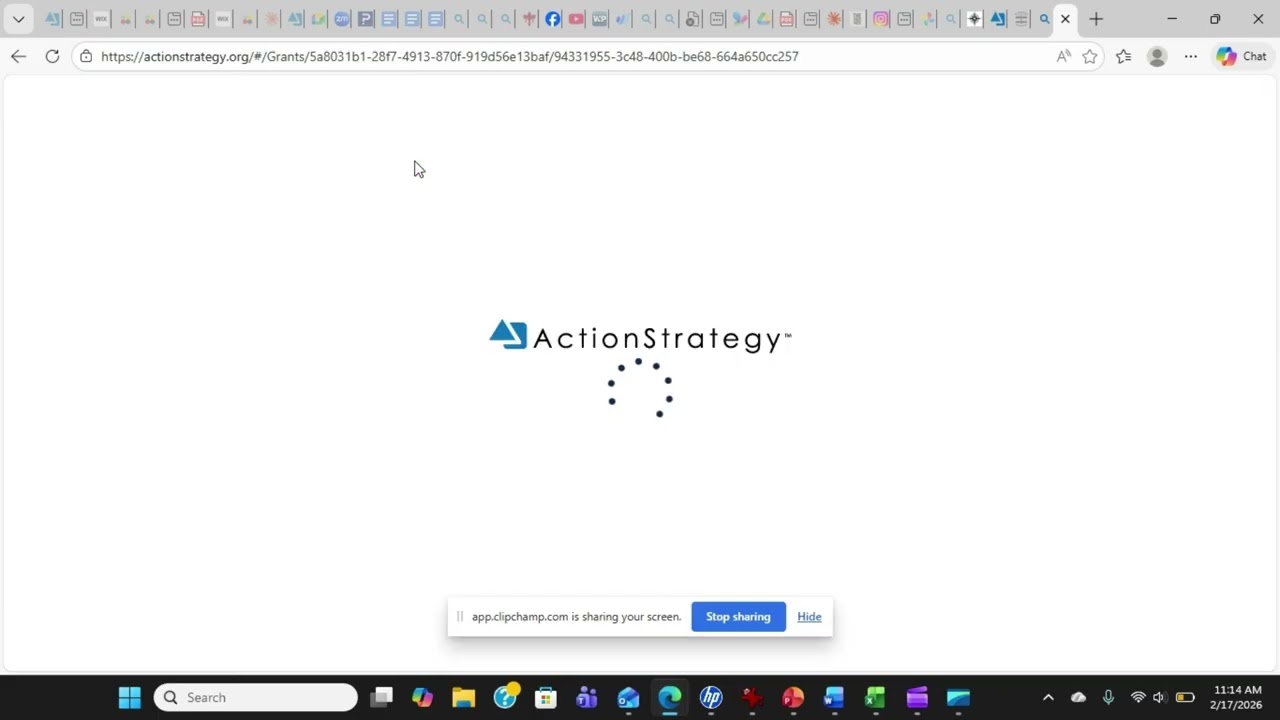 ActionStrategy Grant Application