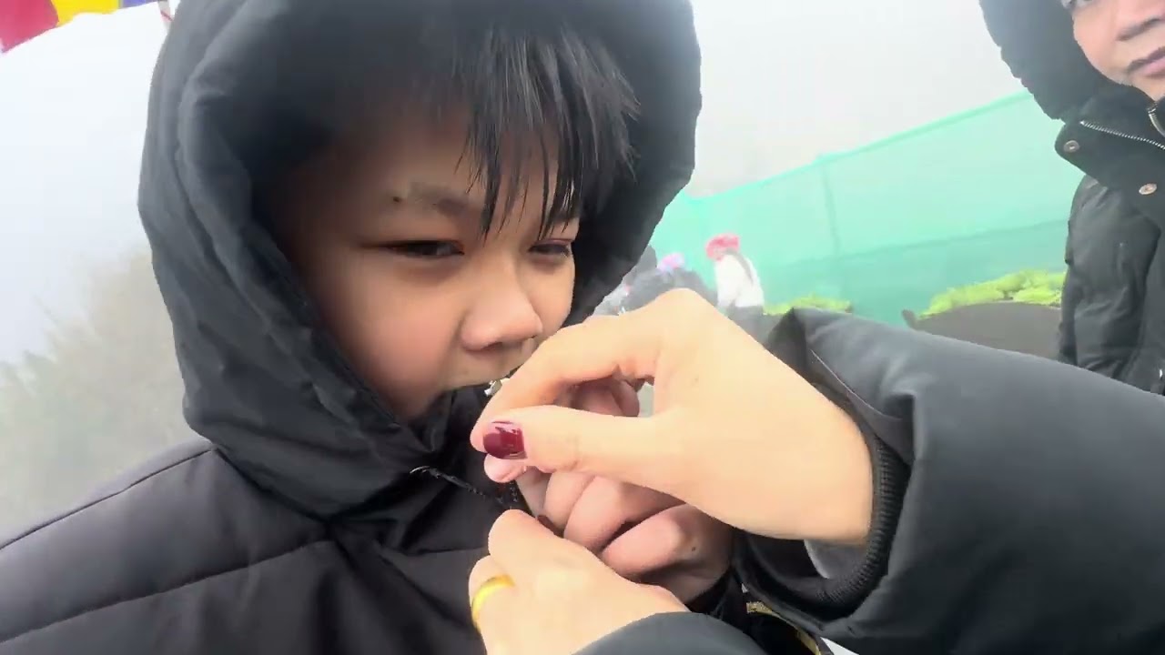 Fansipan 