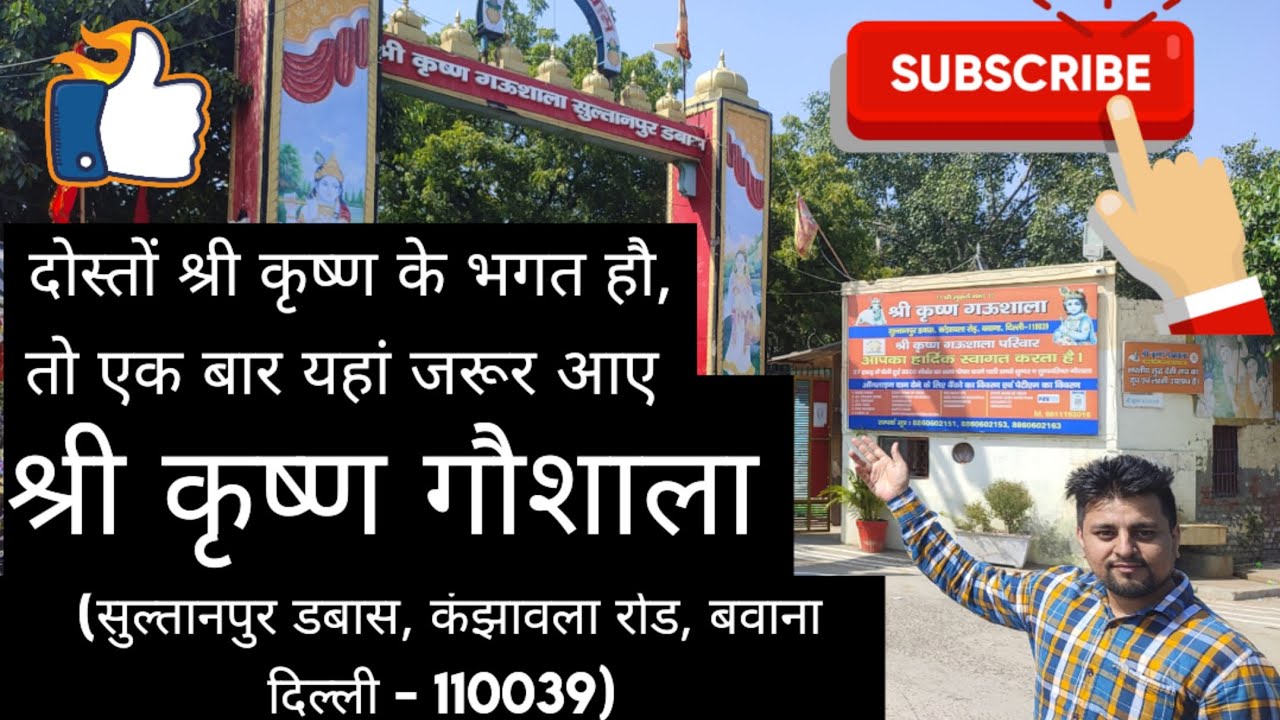Biggest Gaushala in Delhi Full Tour || shri krishna gaushala || Bawana Delhi-110039 #gaushala #delhi