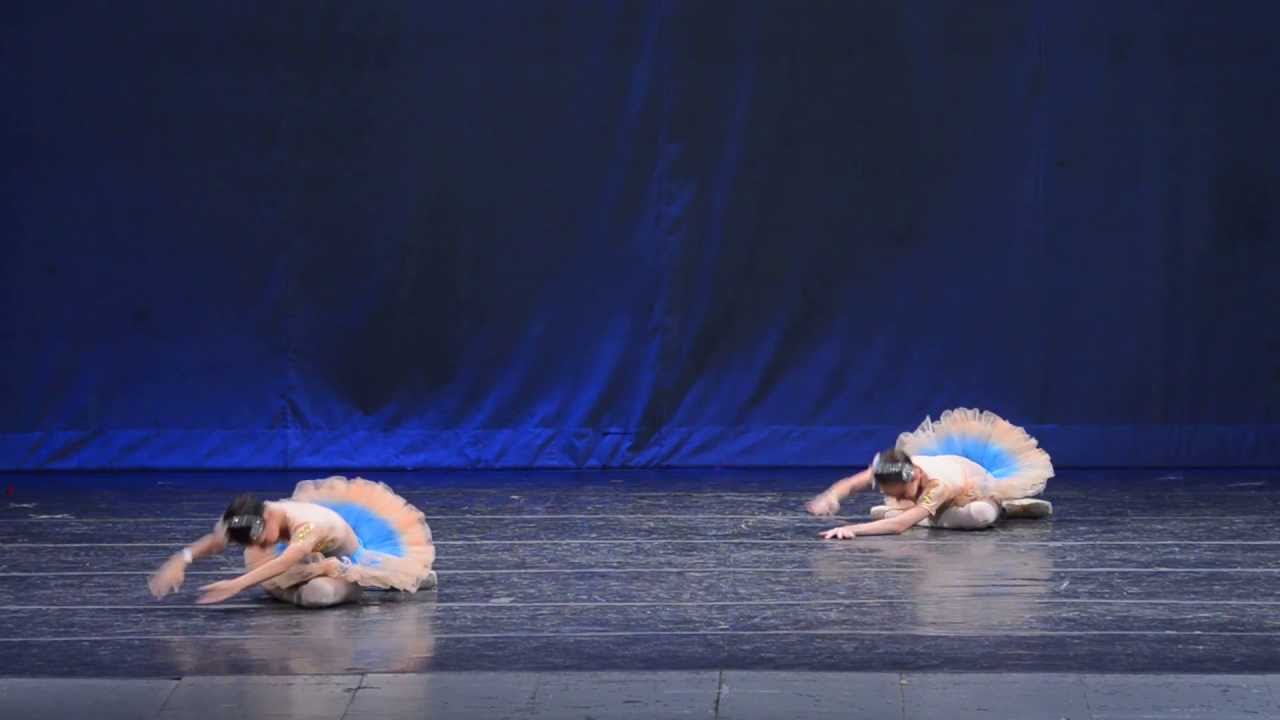 CIAD 2013 - NENUFARES