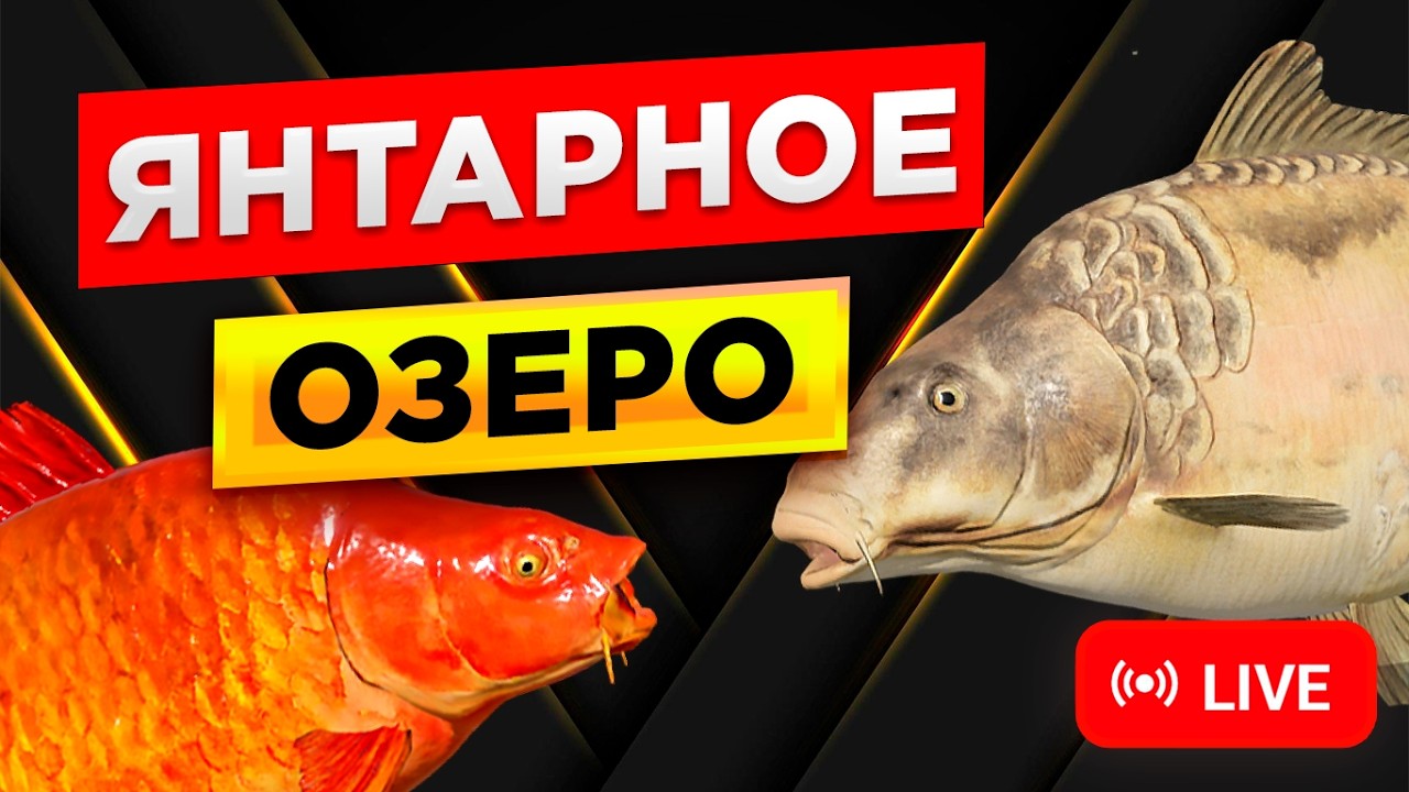 ПРОВЕРЯЕМ ФАРМ СЕРЕБРА НА МЕДНОМ ОЗЕРЕ И НА ЯНТАРНОЕ ЗА ТРОФЕЯМИ! • СТРИМ • Русская Рыбалка 4 РР4