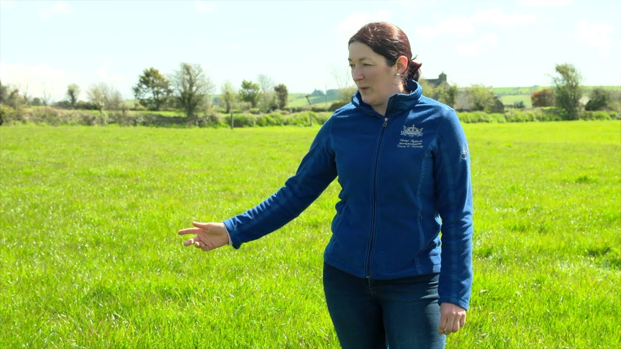 Reseeding - Caroline Walsh