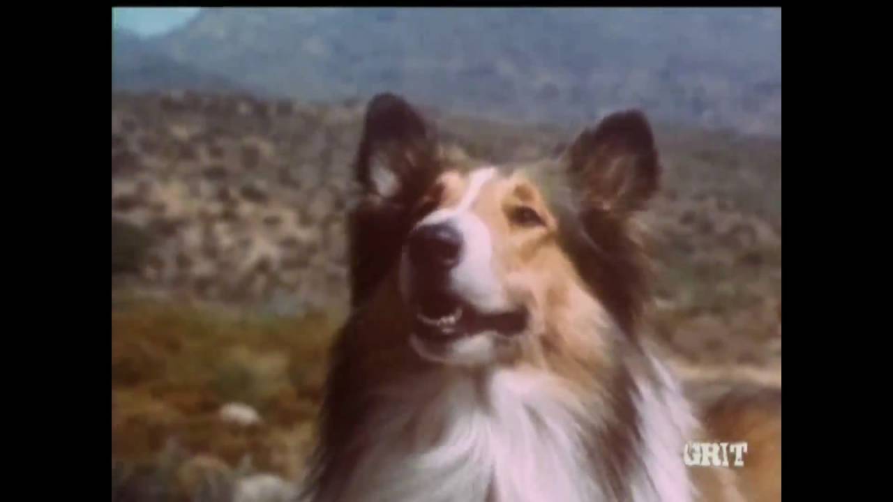 Lassie - Episode #463 - 
