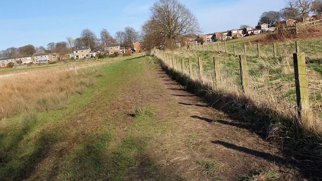 A large lap of the 2020 NECAA Cross Country Championships Course in Sedgefield